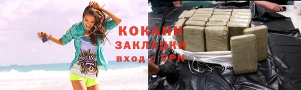 твердый Алексин