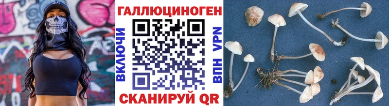 Галлюциногенные грибы Psilocybine cubensis  Грайворон 